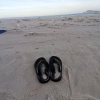minh duc ❤️ Memecoin (@minhduc2484) 's Twitter Profile