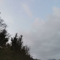 Pham Thanh Vu ❤️ Memecoin (@phamtha14272414) 's Twitter Profile