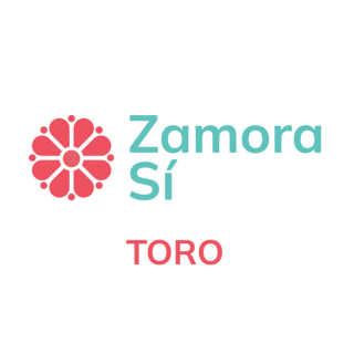 Candidatura de Zamora Sí al Ayuntamiento de Toro, encabezada por María de la Calle Solares. Gente libre y valiente que quiere trabajar por Toro.