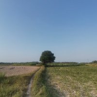 Yen Tran ❤️ Memecoin (@yentran35) 's Twitter Profile