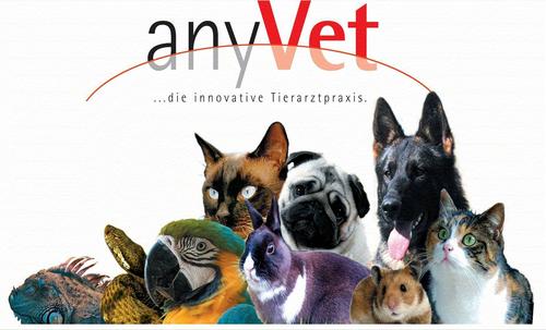 tierpraxis's profile picture. Tipps von Tierpraxis  Ira Arnold, die Adresse für alle Haustierfreunde. Erreichbar unter Telefon 07071 - 9435372