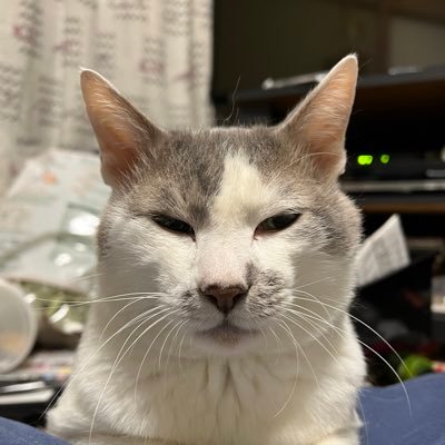 9000_jun's profile picture. 写真撮影が好きな元高校球児⚾女子野球を応援してます📣のんびりと時々活動するかも ※掲載写真の無断転載はお断りしてます❌ご本人様はもちろんOKです⭕️