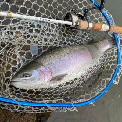 nobi_trout Profile Picture