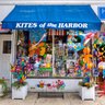 Kitessagharbor's profile picture. We are celebrating the 41st anniversary of Kites of the Harbor