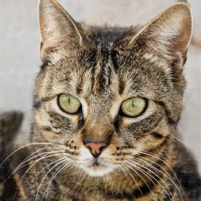 DanaHarris15309's profile picture. 