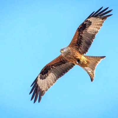 PeterFrits78008's profile picture. 