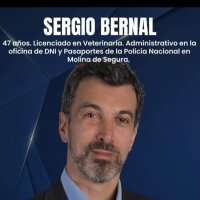 Sergio Bernal (@sergiobernalaya) 's Twitter Profile