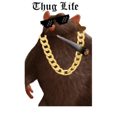 cool_ratman Profile Picture