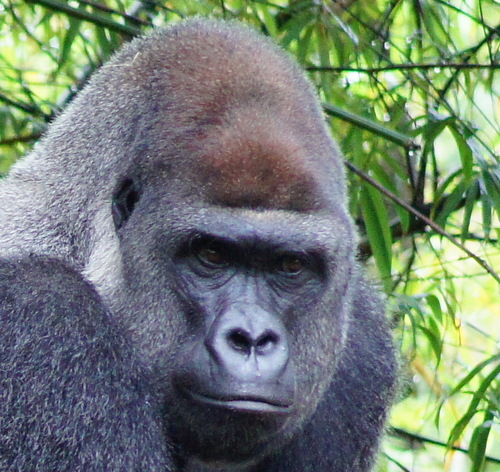 JohnB747's profile picture. Enjoy golfing and traveling the world.