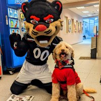 UC CAPS (@uc_caps) 's Twitter Profile