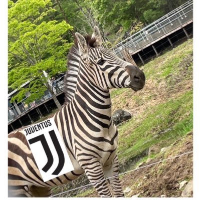 GRAVITY82511626's profile picture. ⚫️⚪️ セリエA  いつかイタリアに行きたい