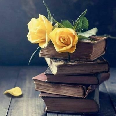 noarah12344's profile picture. 