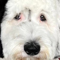 JK (@docking69) 's Twitter Profile