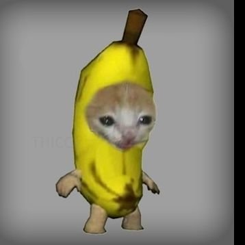 joonsfleshlight's profile picture. Hyungline enthusiast | cake earther | men anti | she/her | 🏳️‍🌈 | 🐋🐳