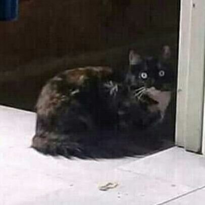 ARTUROC4475493's profile picture. HINCHA DE NACIONAL