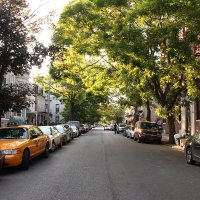 Bay Ridge Bedlum (@bayridgebedlum) 's Twitter Profile