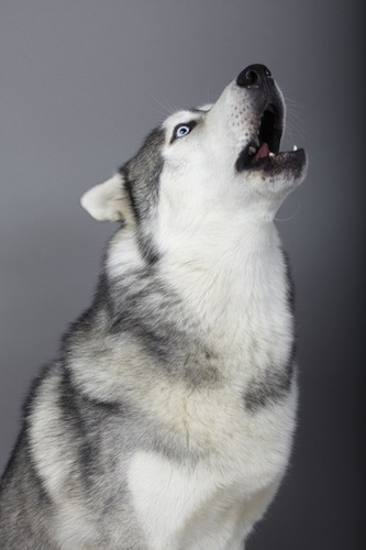 Starik_7's profile picture. 