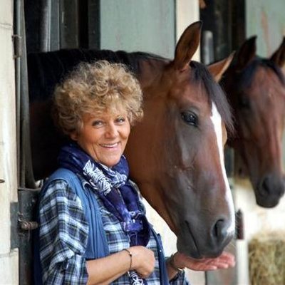 Vie avec les chevaux, rencontre avec des champions