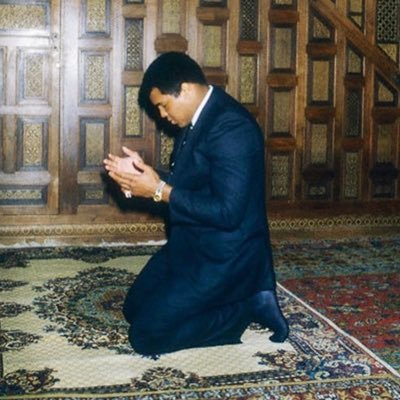 codedfaith's profile picture. We’re an online business hub, that cut across Tech, Food, Health, Wealth & RE. View for ouur collections and MORE!!! 👇👇