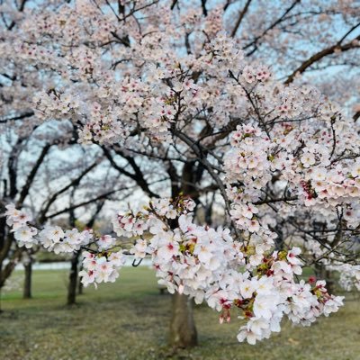 段取り力と空気を読む力をテーマに情報発信していきます |仕事の効率アップ |気が効く存在 |人の表情を読み解き| 心理カウンセラー、行動心理士、メンタルヘルスマネジメントII種取得