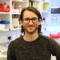 Alexandre Fagnan (@fagnanalexandre) 's Twitter Profile