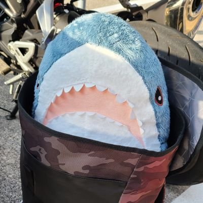 ただの三十路の雑多アカ
FF14,バイクツーリング(CB250R),ゼンゼロ,スト6(ラシード,DJ),GGST(アクセル),MHWildsなど...
※お別れはブロ解かブロックでお願いします