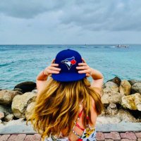 Skye the Reader •secretly writing• (@v_b_writes) 's Twitter Profile