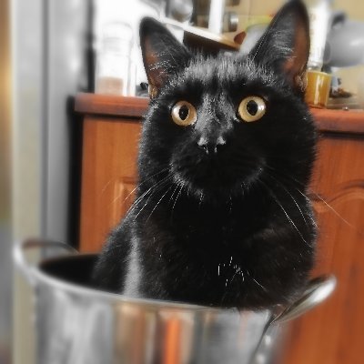 PreceliMarceli's profile picture. 🇵🇱 He/Him 22 gaylord
In my Thai bls era
I love my dads #earthmix
Hatari ❤️

I stand with Ukraine 🇺🇦 & Palestine 🇵🇸
Fuck AI
Support 🏳️‍⚧️