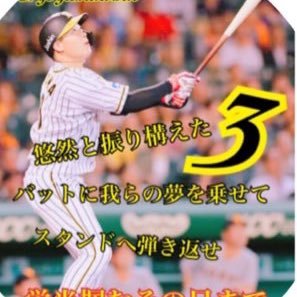 甲子園、京セラドームよく行きます。よろしくお願いします🤲