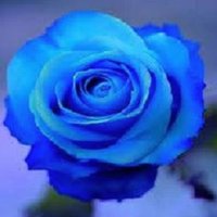 Jenbeth5 (@jenbeth5) 's Twitter Profile