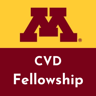 UMN Cards Fellow