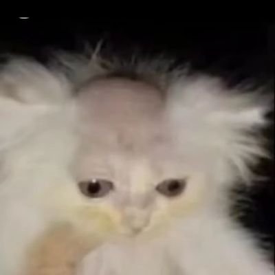 ongkarrr's profile picture. gatau males pengen beli truk