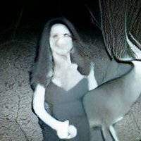 The Morally Corrupt Jay Resnick (@haunted__mirror) 's Twitter Profile