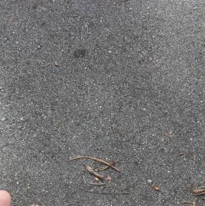 NaimZulfadli's profile picture. 