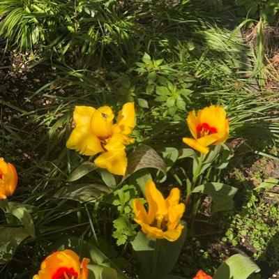 JPearce81986's profile picture. 