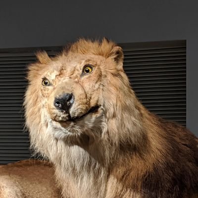 Pink12061988's profile picture. 