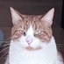 BassBFF (@zygotech821) Twitter profile photo BassBFF (@zygotech821) Twitter profile photo