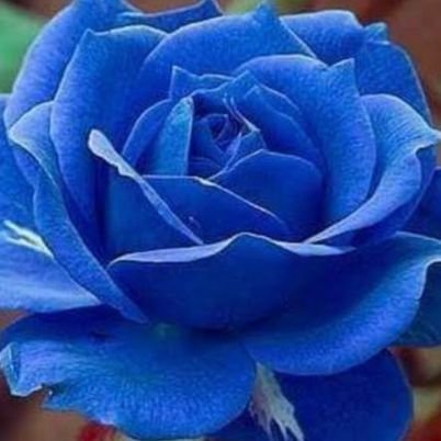 StayWithBuildd's profile picture. Fan account of Build Jakapan Puttha