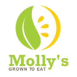 MollysGrown2eat's profile picture. Feeding the hungry bellies of Seattle with healthy, real food by way of Molly's Cafes, Fridges and Catering. http://t.co/FVu2Kce6f1