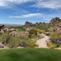 Nick Shan (@nicholasshan) 's Twitter Profile