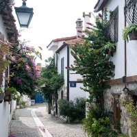 aktif tek (@yagizdertortagi) Twitter profile photo