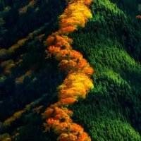 mgffz (@vicli2019) 's Twitter Profile