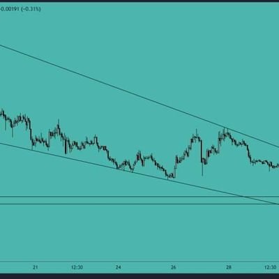 saifullahswatm's profile picture. Allah o Akbar