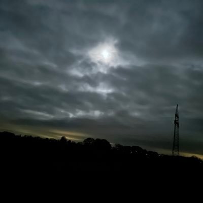 pimperkalle's profile picture. 