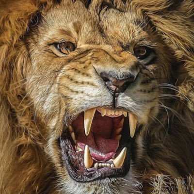 ErickKiruhura's profile picture. content creator and educator