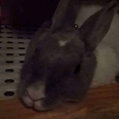 pomdragifu's profile picture. ★⚾中日ドラゴンズ⚽FC岐阜写真を上げております！！ よかったら見てください👀 フォローもよろしくお願いします✨✨