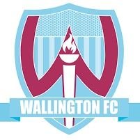 Wallington_FC Profile Picture