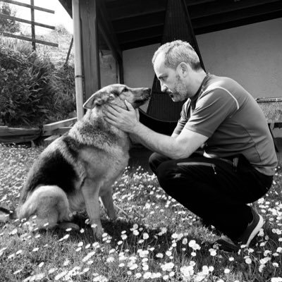 zuloko's profile picture. Cuenta cerrada, pedid explicaciones a Elon. Mono no aware.