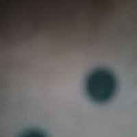 Seda (@evligizliseda64) Twitter profile photo