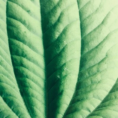 ModernlyHQ's profile picture. 